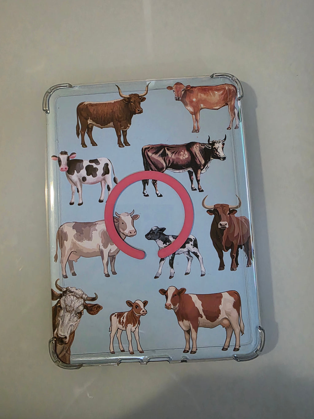 Cattle & Cow Illustration Kindle Insert – Digital Download
