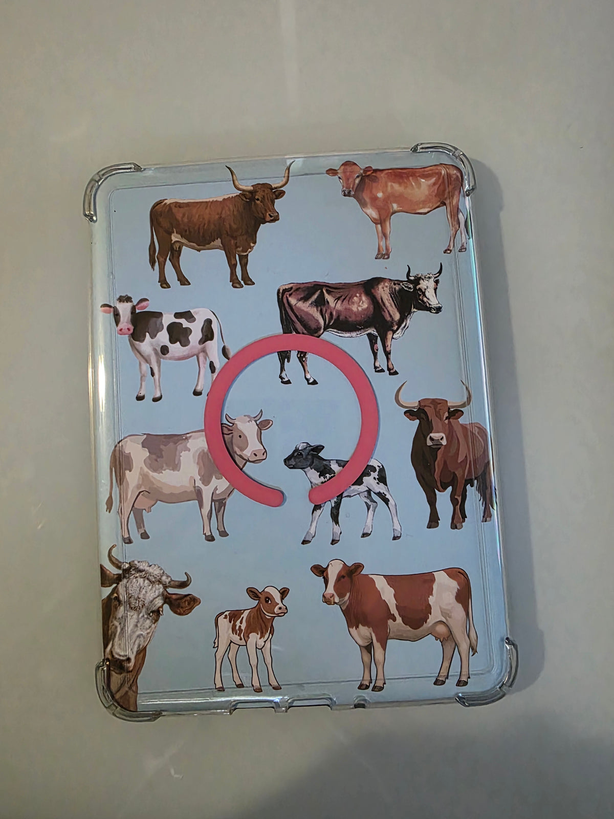 Cattle & Cow Illustration Kindle Insert – Digital Download