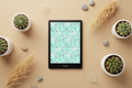 Teal Cactus Sketch Pattern Kindle Back Cover – Flat Lay Hero
